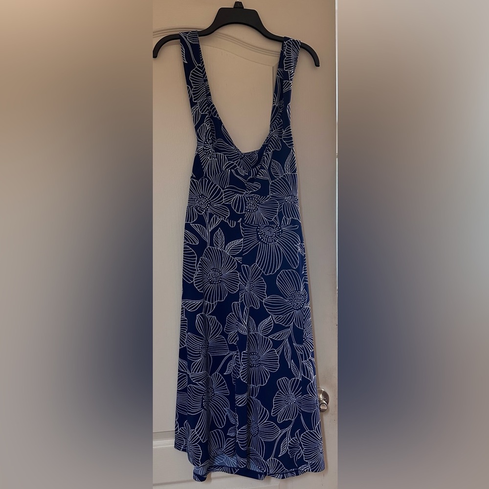 Adriana Papell Sleeveless Blue Dress